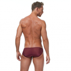 Briefs (Slip) Torridz in burgunder von Gregg Homme