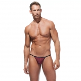 G-String Torridz in burgunder von Gregg Homme G-String Torridz in burgunder von Gregg Homme