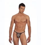 G-String Serengeti von Gregg Homme